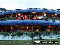 Sakura International Buffet