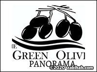 Green Olive Panorama