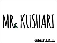 Mr. Kushari