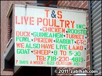 T & S Live Poultry