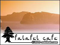 Falafel Café